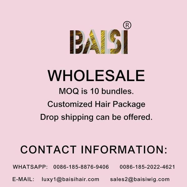 BAISI Straight Bob Wig 100% Human Hair - BAISI HAIR